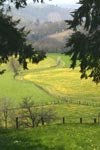 Les champs autour du puymaury