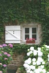 Une fen�tre de salle de bain du puymaury