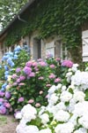 La maison du puymaury - c�t� nord